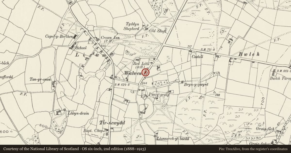 Ordnance Survey six-inch map, 2nd edition (1888–1913) covering the location of Wayside Cottage, Ysceifiog, Flintshire, with a pin at the register's coordinates