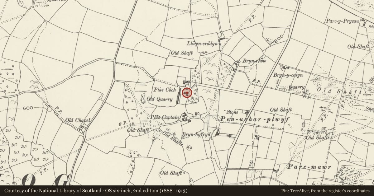 Ordnance Survey six-inch map, 2nd edition (1888–1913) covering the location of Stable block and pigeon house at Plas Coch, Ysceifiog, Flintshire, with a pin at the register's coordinates
