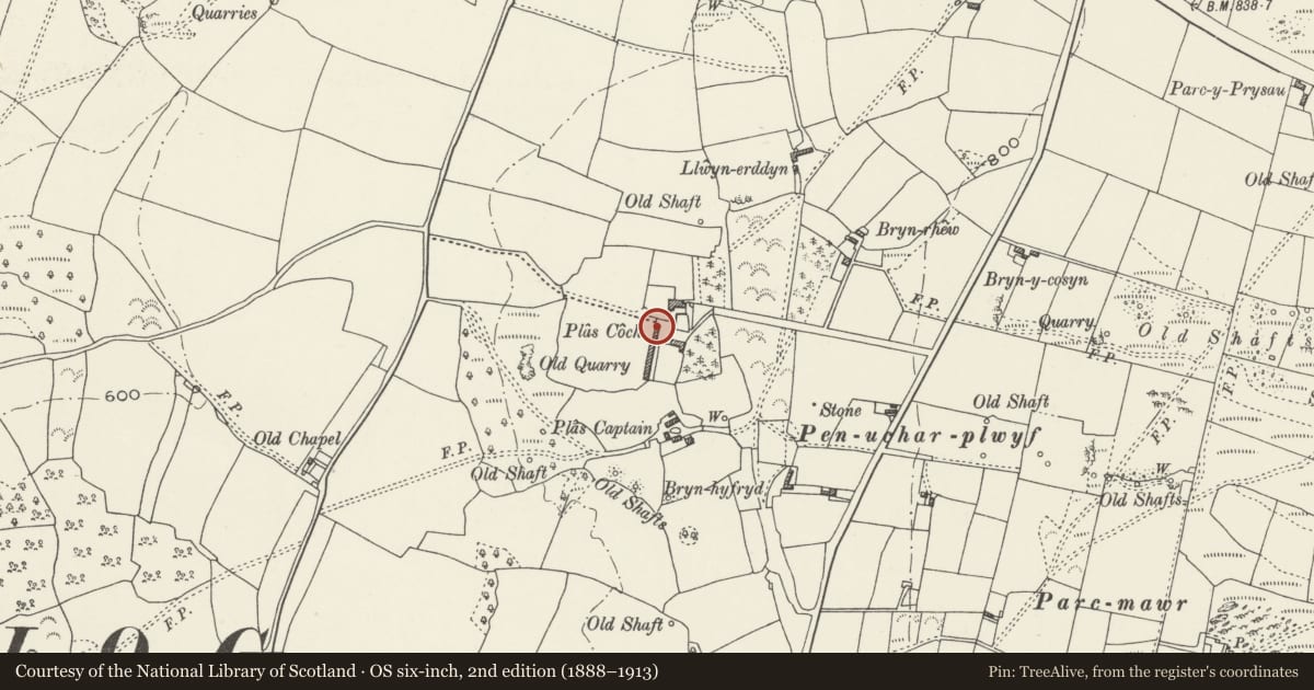 Ordnance Survey six-inch map, 2nd edition (1888–1913) covering the location of Cart house, smithy and pigsties at Plas Coch, Ysceifiog, Flintshire, with a pin at the register's coordinates
