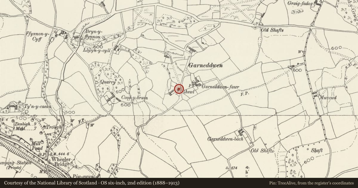 Ordnance Survey six-inch map, 2nd edition (1888–1913) covering the location of Rhewl, Ysceifiog, Flintshire, with a pin at the register's coordinates