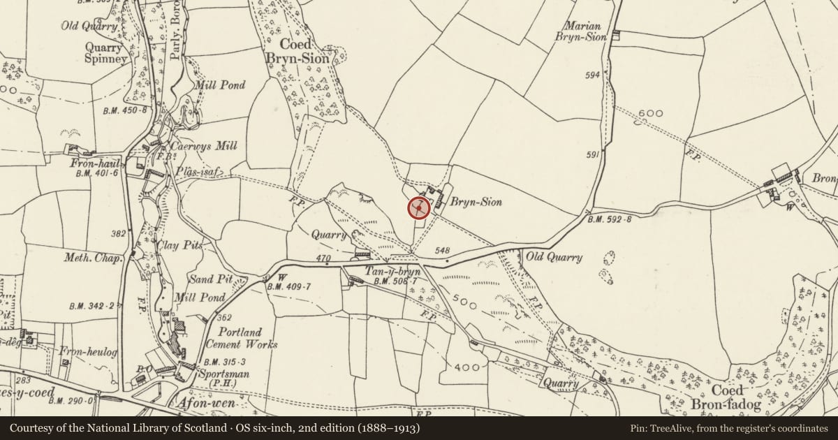 Ordnance Survey six-inch map, 2nd edition (1888–1913) covering the location of Gatehouse with attached garden walls at Bryn Sion, Ysceifiog, Flintshire, with a pin at the register's coordinates