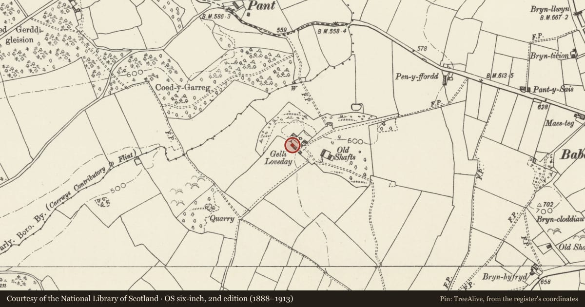 Ordnance Survey six-inch map, 2nd edition (1888–1913) covering the location of Bakehouse at Gellilyfdy, Ysceifiog, Flintshire, with a pin at the register's coordinates