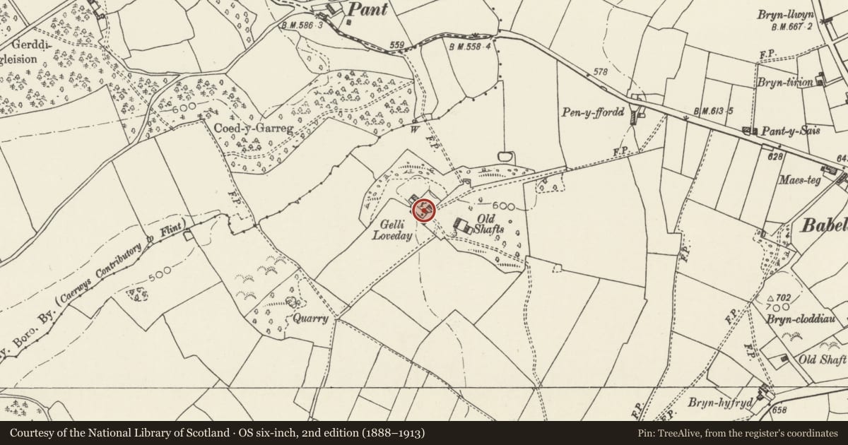 Ordnance Survey six-inch map, 2nd edition (1888–1913) covering the location of Stable at Gellilyfdy, Ysceifiog, Flintshire, with a pin at the register's coordinates