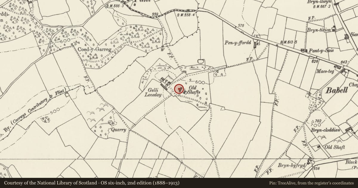 Ordnance Survey six-inch map, 2nd edition (1888–1913) covering the location of Barn at Gellilyfdy, Ysceifiog, Flintshire, with a pin at the register's coordinates
