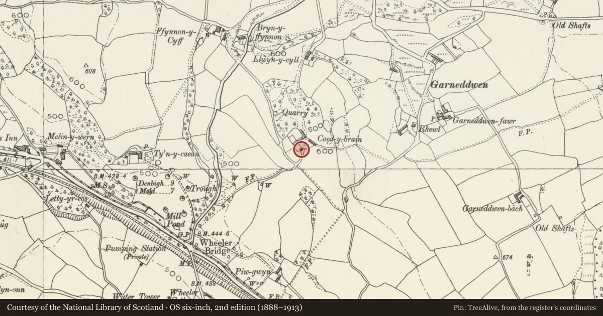 Ordnance Survey six-inch map, 2nd edition (1888–1913) covering the location of Gate piers at original entrance to Coedybrain, Ysceifiog, Flintshire, with a pin at the register's coordinates