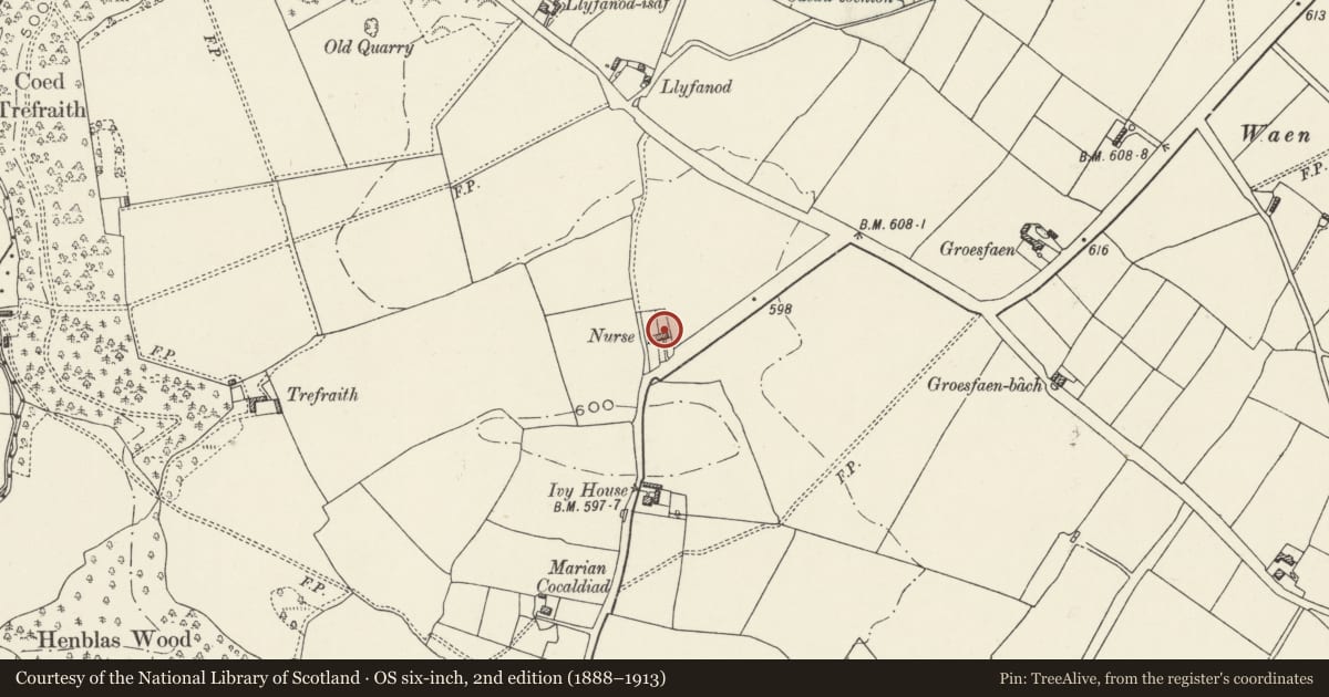 Ordnance Survey six-inch map, 2nd edition (1888–1913) covering the location of Nurse Cottage, Ysceifiog, Flintshire, with a pin at the register's coordinates