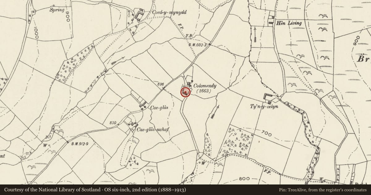 Ordnance Survey six-inch map, 2nd edition (1888–1913) covering the location of Ysgubor Colomendy, Ysceifiog, Flintshire, with a pin at the register's coordinates