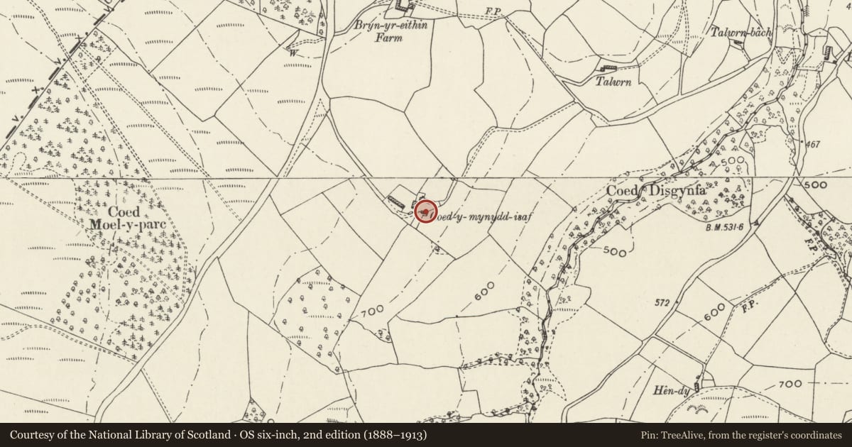 Ordnance Survey six-inch map, 2nd edition (1888–1913) covering the location of Bakehouse with attached former pigsties at Coedmynydd Isaf, Ysceifiog, Flintshire, with a pin at the register's coordinates