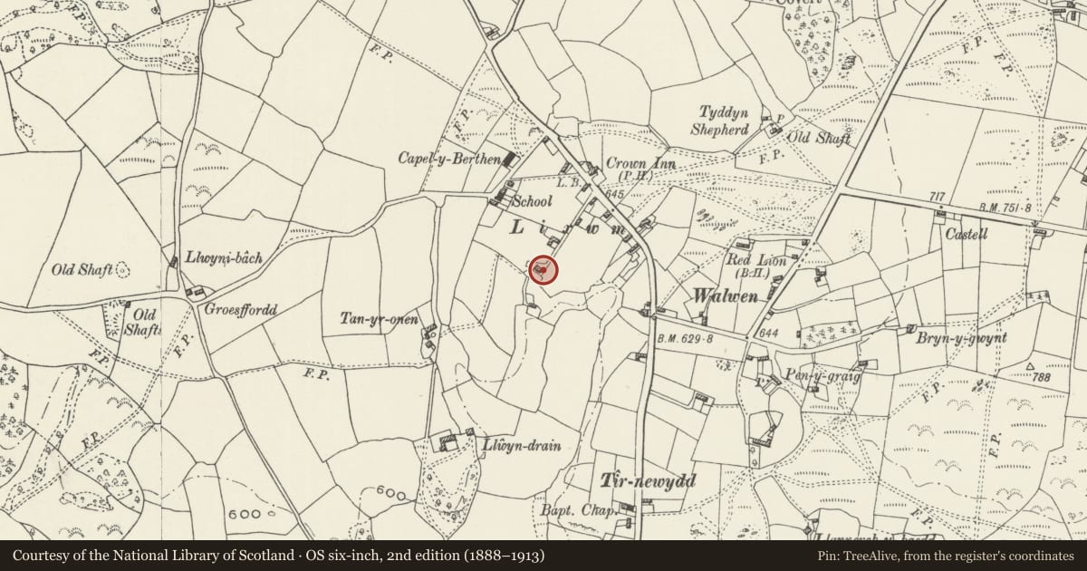 Ordnance Survey six-inch map, 2nd edition (1888–1913) covering the location of Llwyn Tew, Ysceifiog, Flintshire, with a pin at the register's coordinates