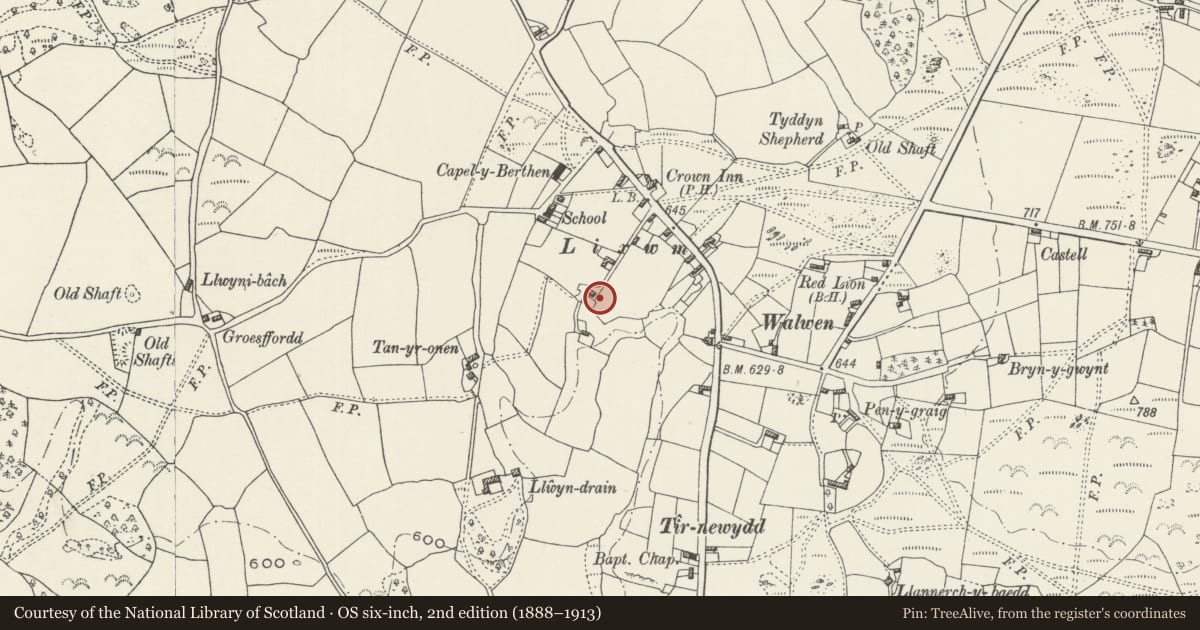 Ordnance Survey six-inch map, 2nd edition (1888–1913) covering the location of Bakehouse at Llwyn Tew, Ysceifiog, Flintshire, with a pin at the register's coordinates