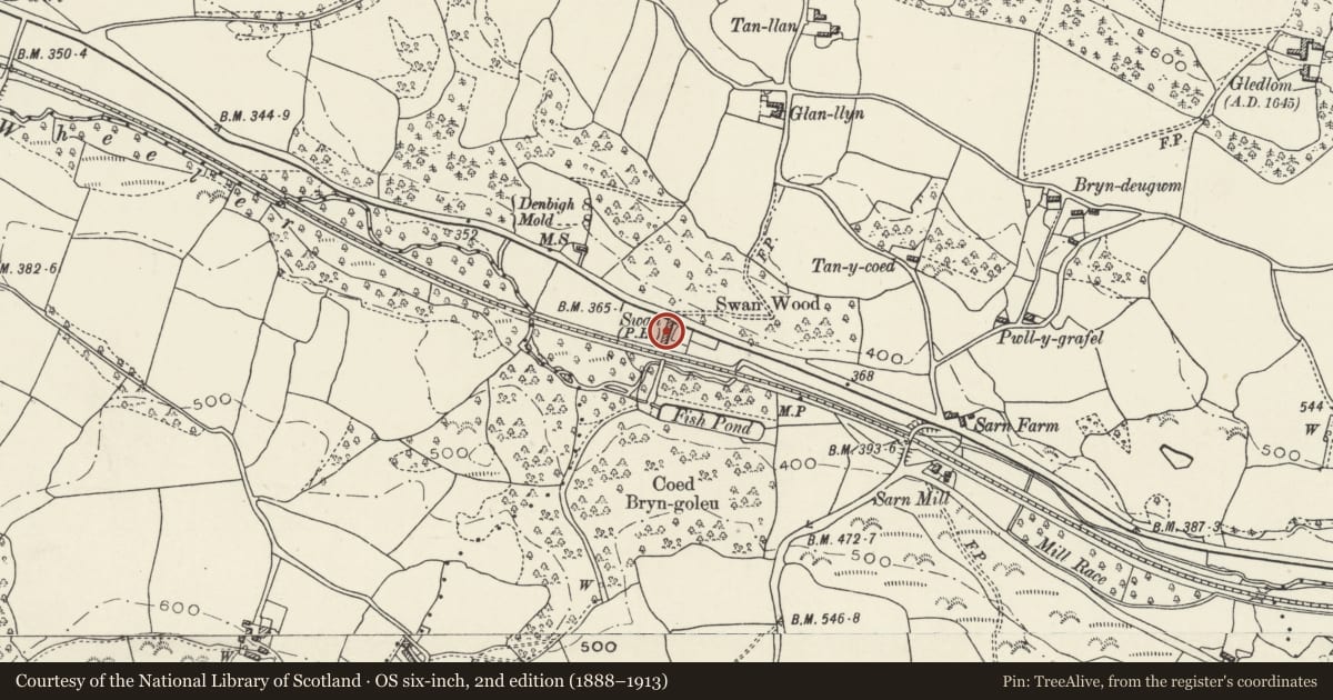 Ordnance Survey six-inch map, 2nd edition (1888–1913) covering the location of Swan Cottage, Ysceifiog, Flintshire, with a pin at the register's coordinates