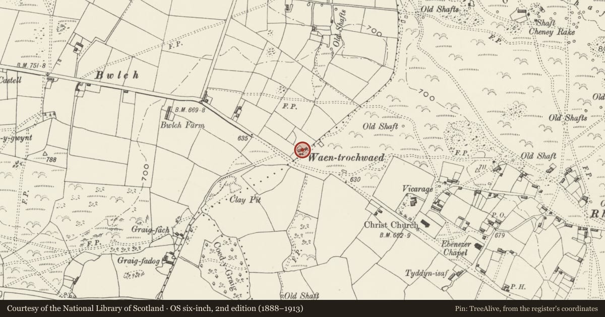 Ordnance Survey six-inch map, 2nd edition (1888–1913) covering the location of Waen Farm, Ysceifiog, Flintshire, with a pin at the register's coordinates