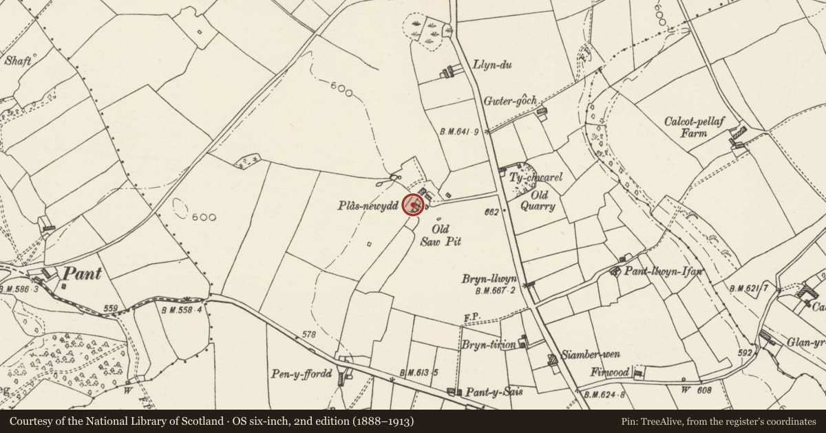 Ordnance Survey six-inch map, 2nd edition (1888–1913) covering the location of Plas-newydd, Ysceifiog, Flintshire, with a pin at the register's coordinates