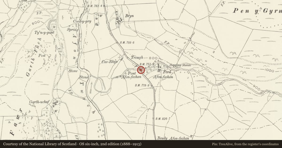 Ordnance Survey six-inch map, 2nd edition (1888–1913) covering the location of Pont Afon Fechan, Llanuwchllyn, Gwynedd, with a pin at the register's coordinates