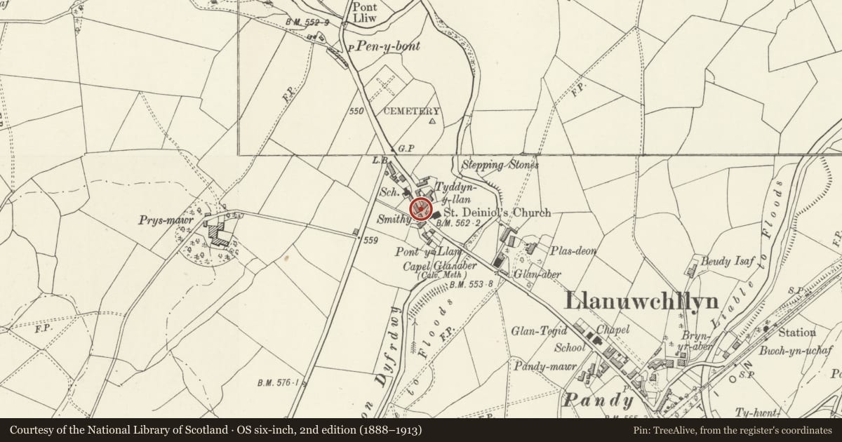 Ordnance Survey six-inch map, 2nd edition (1888–1913) covering the location of Enlli, Llanuwchllyn, Gwynedd, with a pin at the register's coordinates