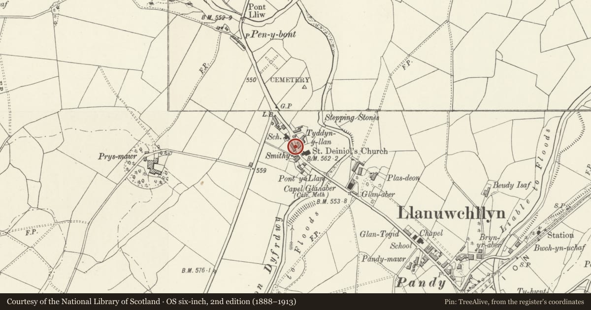 Ordnance Survey six-inch map, 2nd edition (1888–1913) covering the location of Trem Wawr, Llanuwchllyn, Gwynedd, with a pin at the register's coordinates