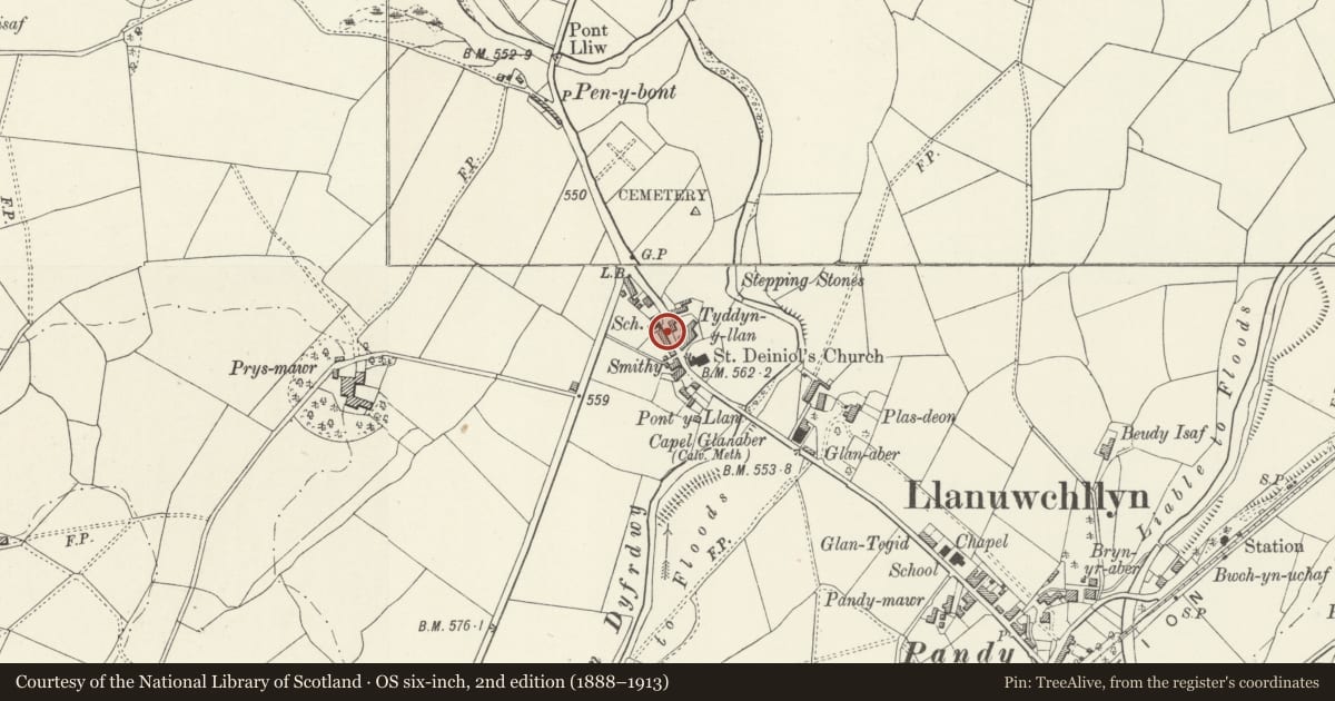 Ordnance Survey six-inch map, 2nd edition (1888–1913) covering the location of Rhydloew, Llanuwchllyn, Gwynedd, with a pin at the register's coordinates