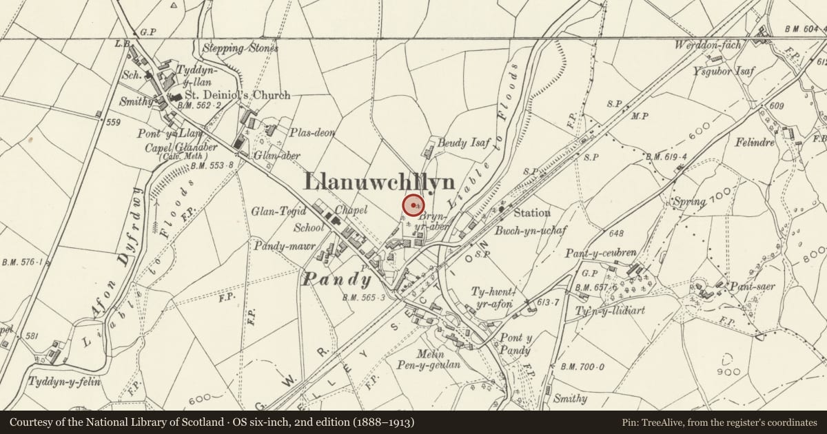 Ordnance Survey six-inch map, 2nd edition (1888–1913) covering the location of Neuadd Wen, Llanuwchllyn, Gwynedd, with a pin at the register's coordinates