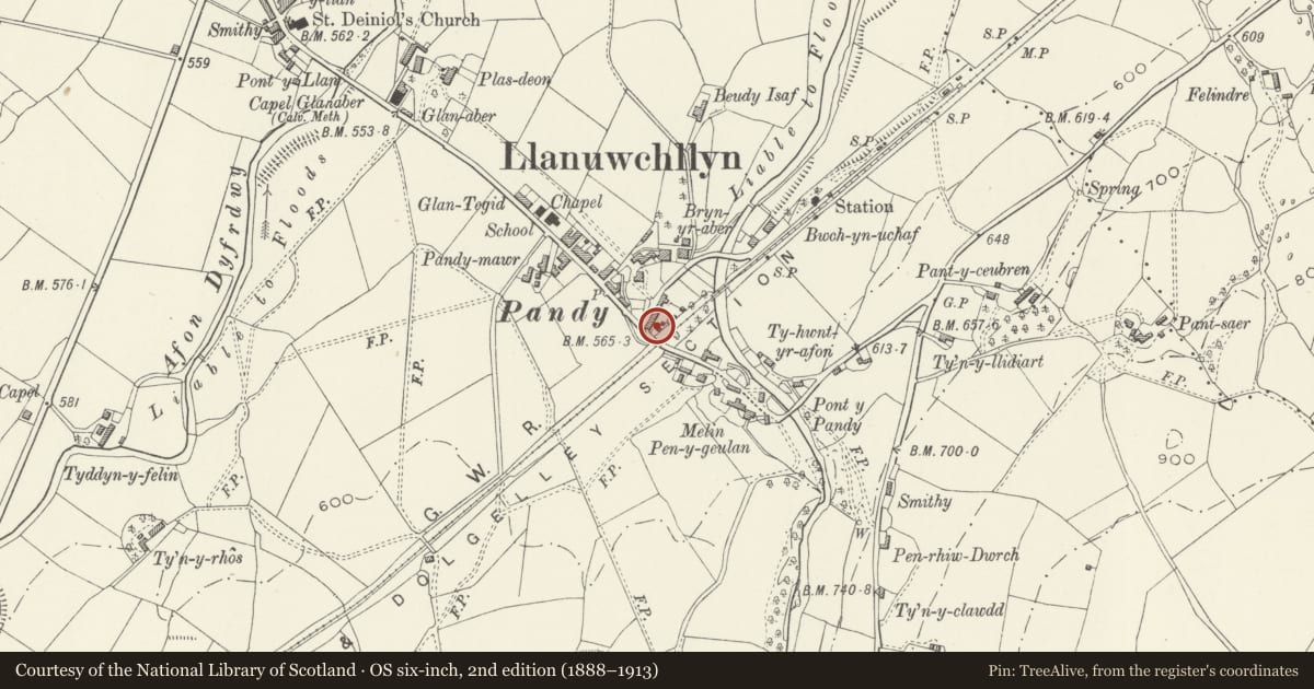 Ordnance Survey six-inch map, 2nd edition (1888–1913) covering the location of 2 Station Road (Ty'n Ddol), Llanuwchllyn, Gwynedd, with a pin at the register's coordinates