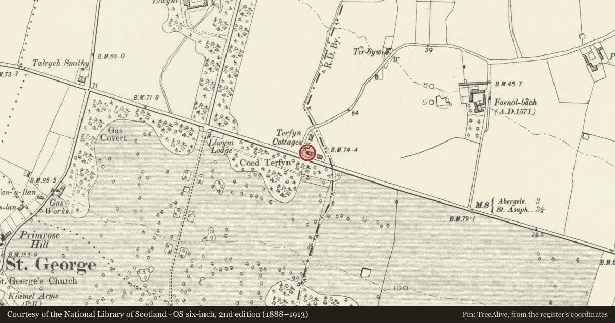 Ordnance Survey six-inch map, 2nd edition (1888–1913) covering the location of 5 Terfyn Cottages, Bodelwyddan, Denbighshire, with a pin at the register's coordinates