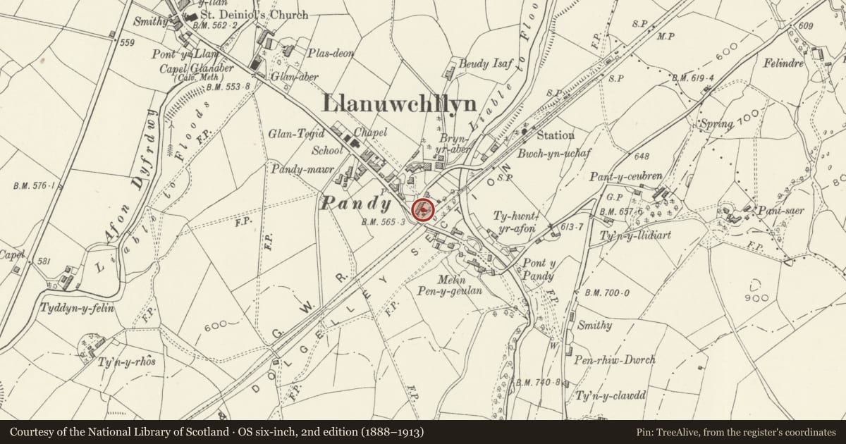 Ordnance Survey six-inch map, 2nd edition (1888–1913) covering the location of 3 Station Road (Ty'n Ddol), Llanuwchllyn, Gwynedd, with a pin at the register's coordinates