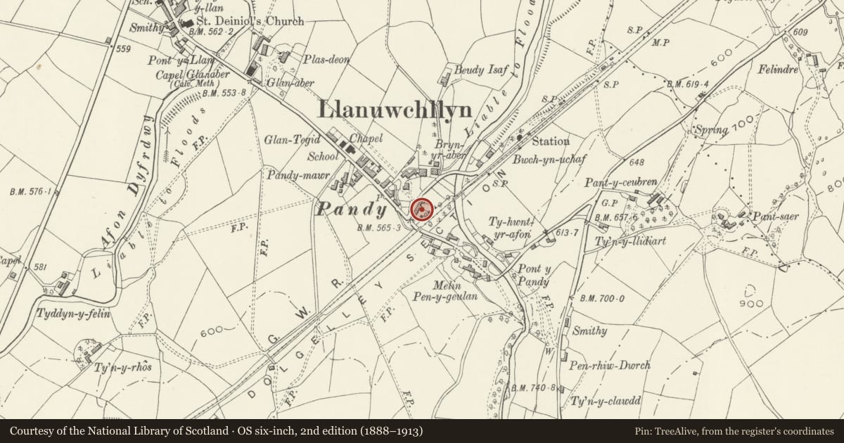 Ordnance Survey six-inch map, 2nd edition (1888–1913) covering the location of 5 Station Road (Ty'n Ddol), Llanuwchllyn, Gwynedd, with a pin at the register's coordinates