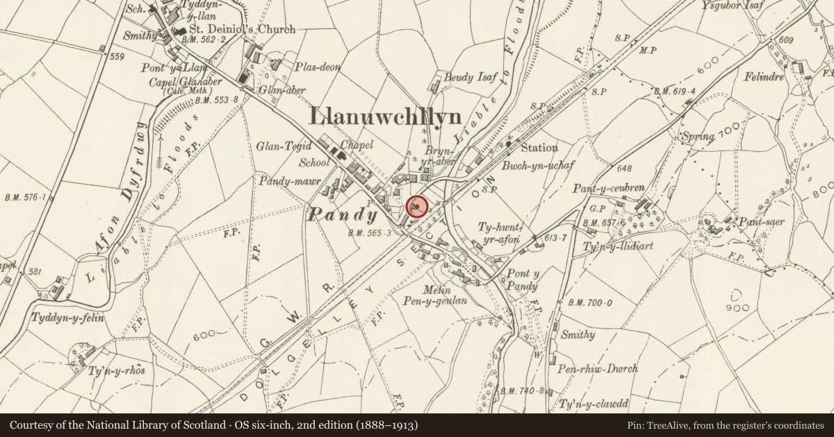 Ordnance Survey six-inch map, 2nd edition (1888–1913) covering the location of 8 Station Road (Ty'n Ddol), Llanuwchllyn, Gwynedd, with a pin at the register's coordinates