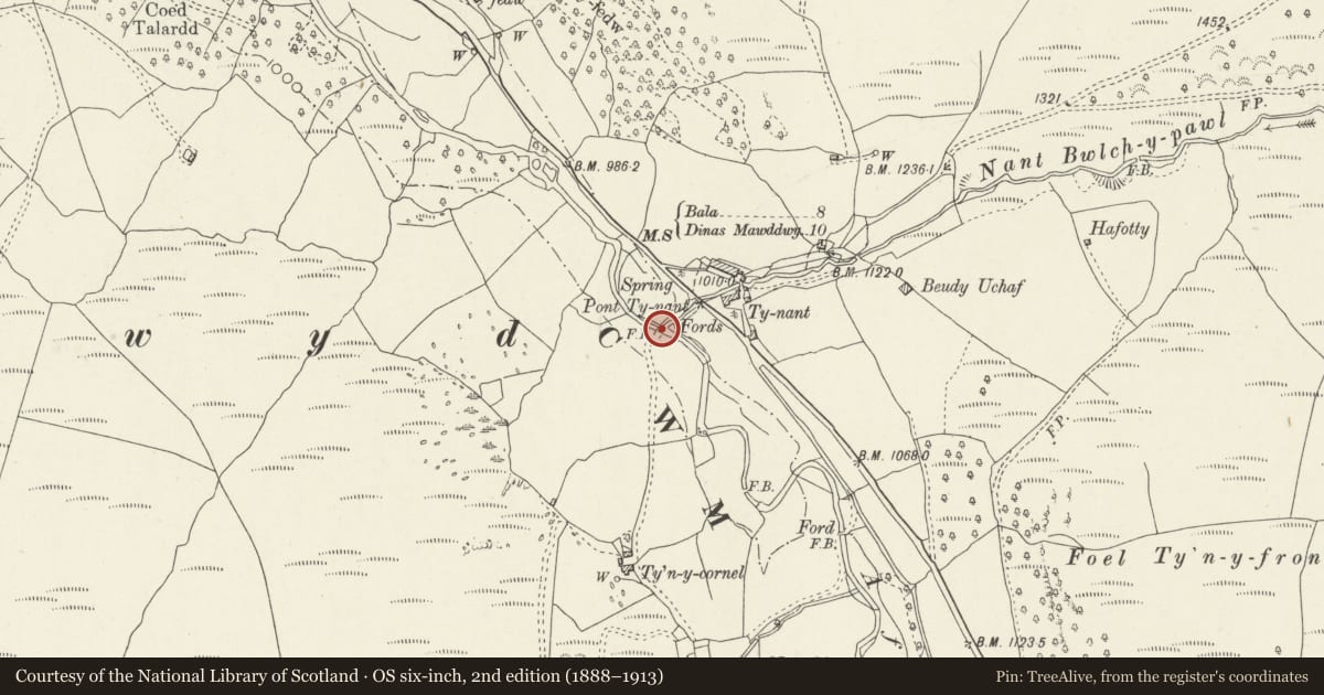 Ordnance Survey six-inch map, 2nd edition (1888–1913) covering the location of Pont Ty Nant, Llanuwchllyn, Gwynedd, with a pin at the register's coordinates