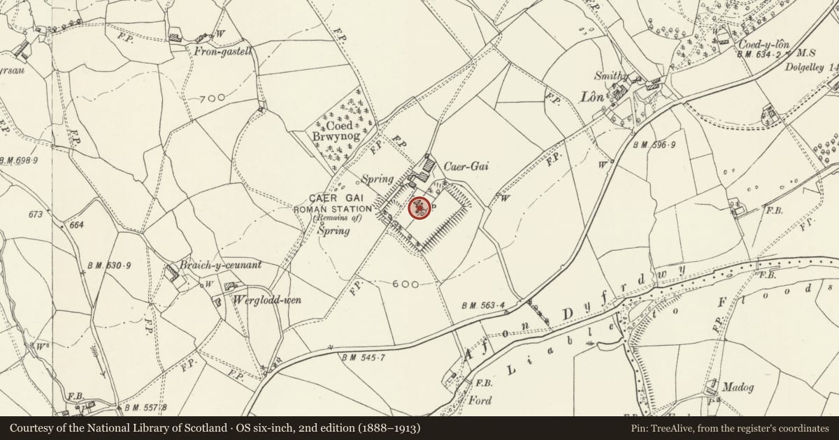 Ordnance Survey six-inch map, 2nd edition (1888–1913) covering the location of Brewhouse and Pigsties at Caer Gai, Llanuwchllyn, Gwynedd, with a pin at the register's coordinates