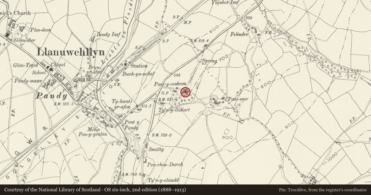 Ordnance Survey six-inch map, 2nd edition (1888–1913) covering the location of Pant-y-Ceubren, Llanuwchllyn, Gwynedd, with a pin at the register's coordinates