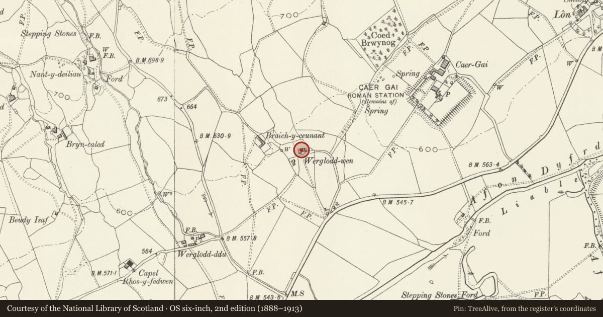 Ordnance Survey six-inch map, 2nd edition (1888–1913) covering the location of Werglodd Wen, Llanuwchllyn, Gwynedd, with a pin at the register's coordinates