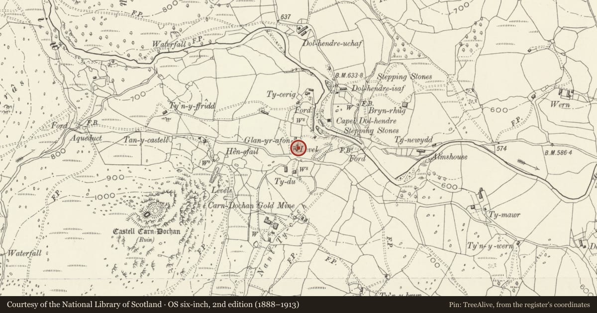 Ordnance Survey six-inch map, 2nd edition (1888–1913) covering the location of Glanyrafon, Llanuwchllyn, Gwynedd, with a pin at the register's coordinates
