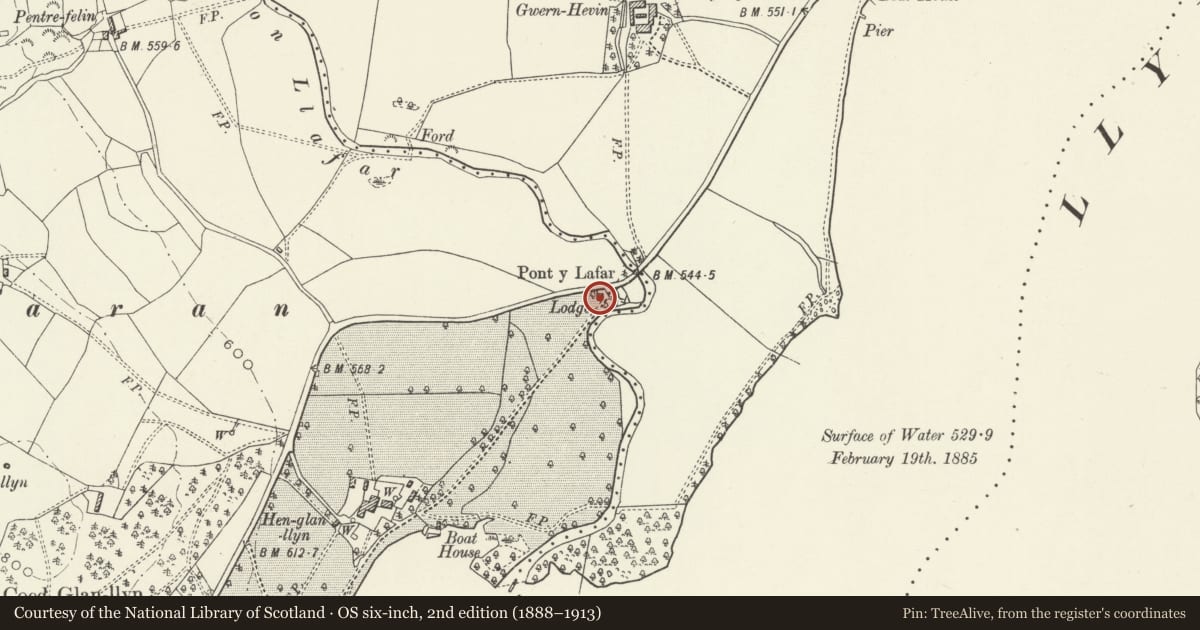 Ordnance Survey six-inch map, 2nd edition (1888–1913) covering the location of Former Lodge to Glanllyn, Llanuwchllyn, Gwynedd, with a pin at the register's coordinates