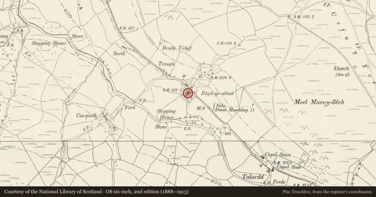 Ordnance Survey six-inch map, 2nd edition (1888–1913) covering the location of Rhydybod, Llanuwchllyn, Gwynedd, with a pin at the register's coordinates