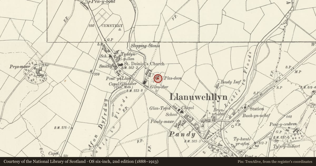 Ordnance Survey six-inch map, 2nd edition (1888–1913) covering the location of Plas Deon, Llanuwchllyn, Gwynedd, with a pin at the register's coordinates
