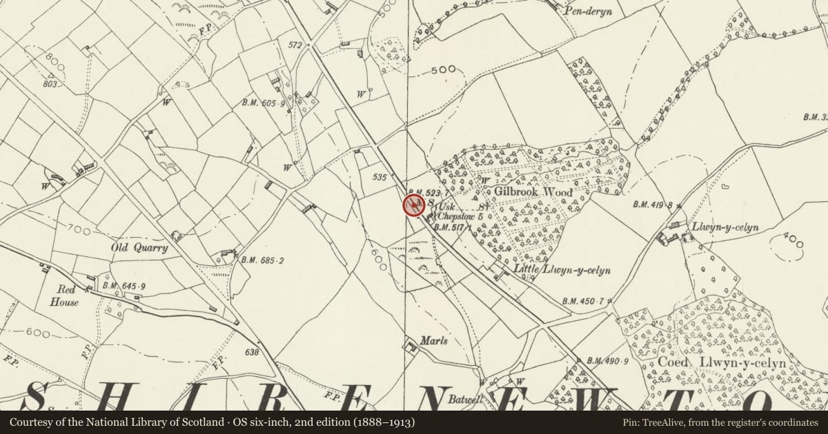 Ordnance Survey six-inch map, 2nd edition (1888–1913) covering the location of Milestone, Shirenewton, Monmouthshire, with a pin at the register's coordinates