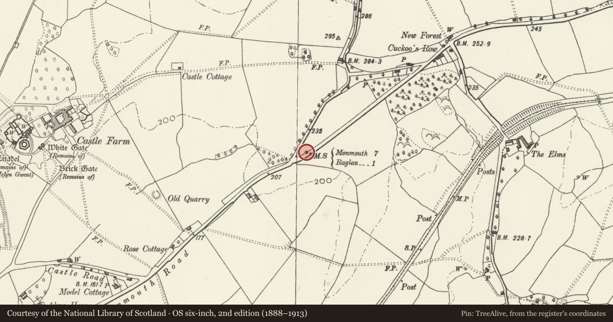 Ordnance Survey six-inch map, 2nd edition (1888–1913) covering the location of Milestone on the old Monmouth road, Mitchel Troy, Monmouthshire, with a pin at the register's coordinates