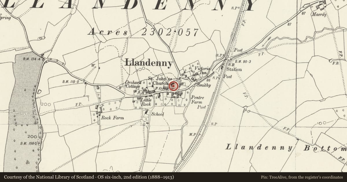 Ordnance Survey six-inch map, 2nd edition (1888–1913) covering the location of Cross in St John's churchyard, Raglan, Monmouthshire, with a pin at the register's coordinates