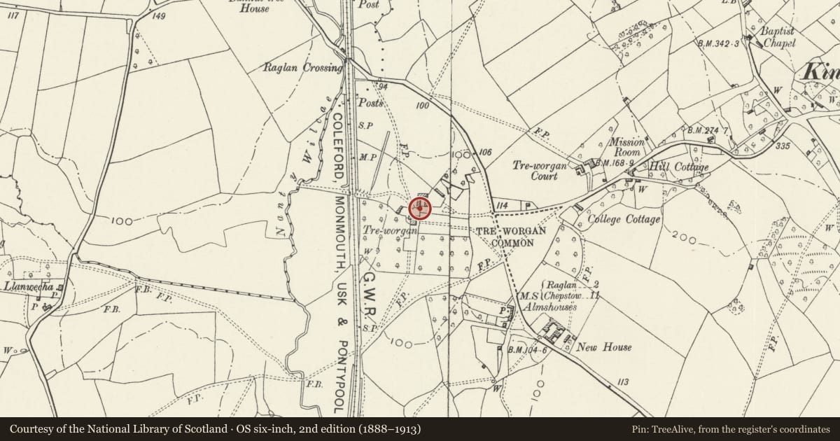 Ordnance Survey six-inch map, 2nd edition (1888–1913) covering the location of Barn at Treworgan Manor, Raglan, Monmouthshire, with a pin at the register's coordinates