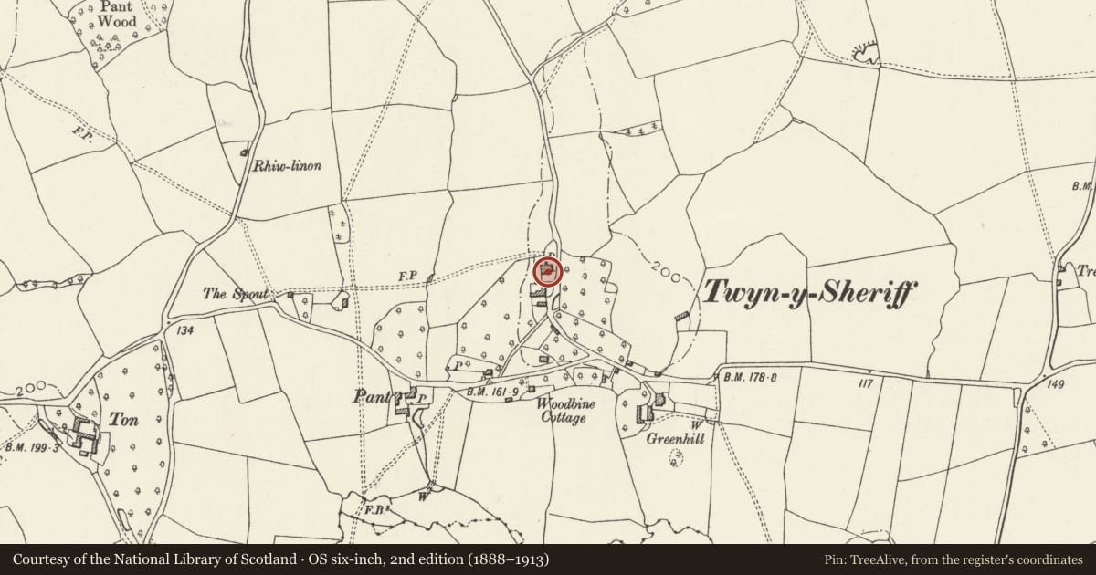 Ordnance Survey six-inch map, 2nd edition (1888–1913) covering the location of Twynysheriff, Raglan, Monmouthshire, with a pin at the register's coordinates