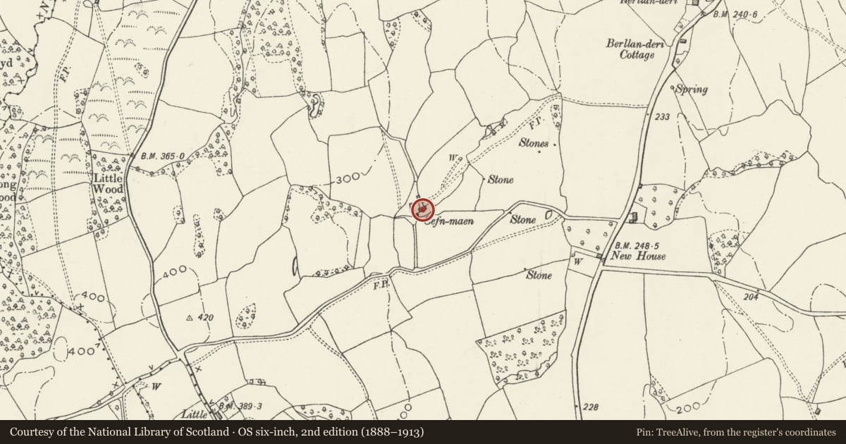 Ordnance Survey six-inch map, 2nd edition (1888–1913) covering the location of Cefnmaen, Raglan, Monmouthshire, with a pin at the register's coordinates
