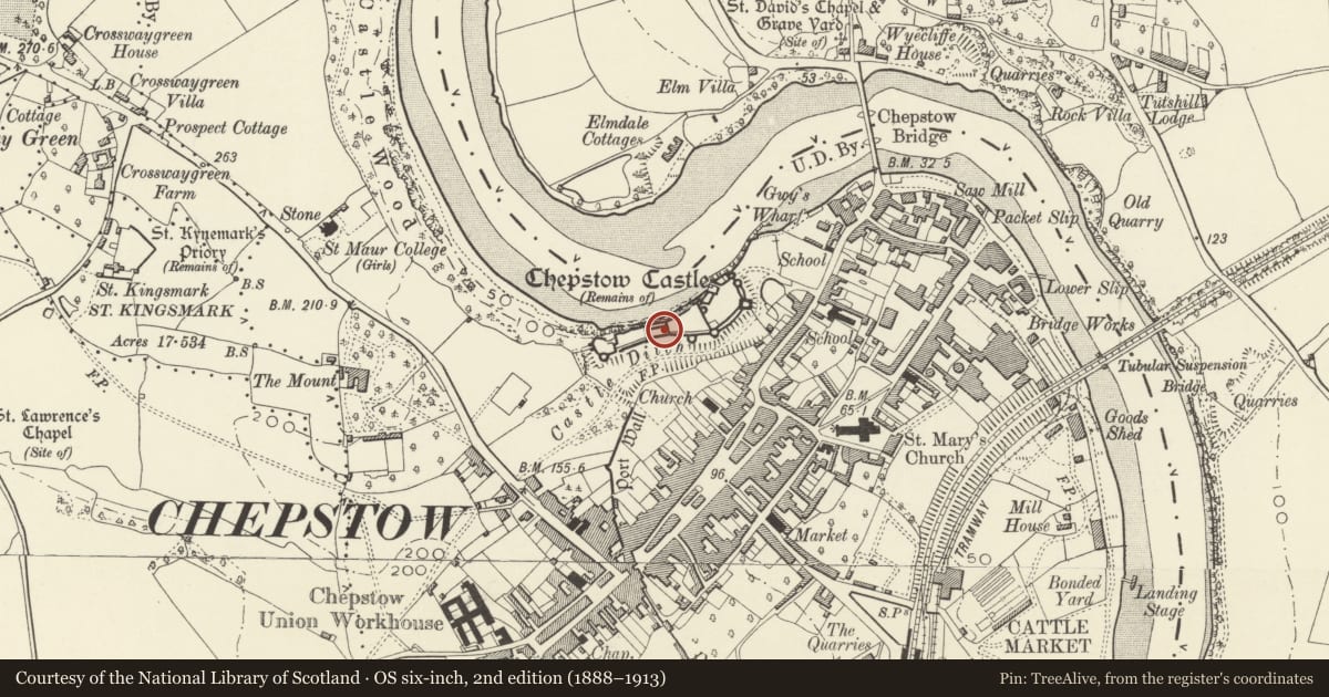 Ordnance Survey six-inch map, 2nd edition (1888–1913) covering the location of Chepstow Castle, Monmouthshire, with a pin at the register's coordinates