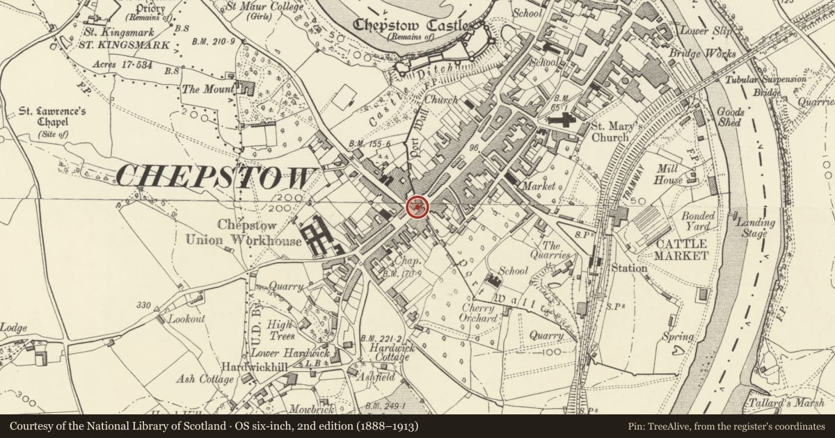 Ordnance Survey six-inch map, 2nd edition (1888–1913) covering the location of Town Gate, Chepstow, Monmouthshire, with a pin at the register's coordinates