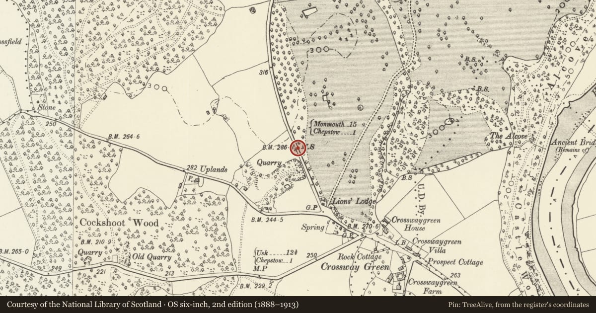 Ordnance Survey six-inch map, 2nd edition (1888–1913) covering the location of Milestone set in the Boundary Wall of Chepstow Racecourse (Piercefield Park), Monmouthshire, with a pin at the register's coordinates