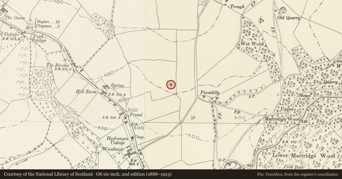 Ordnance Survey six-inch map, 2nd edition (1888–1913) covering the location of Wyndcliffe Court, St. Arvans, Monmouthshire, with a pin at the register's coordinates