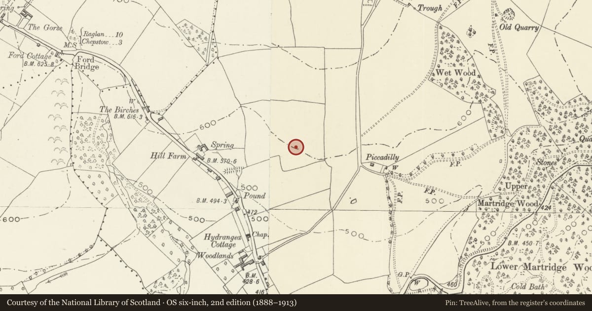 Ordnance Survey six-inch map, 2nd edition (1888–1913) covering the location of Garden Terracing, Steps, Pool, Pergola and Summerhouse at Wyndcliffe Court, St. Arvans, Monmouthshire, with a pin at the register's coordinates