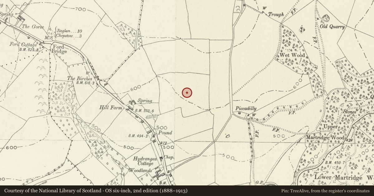 Ordnance Survey six-inch map, 2nd edition (1888–1913) covering the location of Walls and two Gateways of the Walled Garden at Wyndcliffe Court, St. Arvans, Monmouthshire, with a pin at the register's coordinates