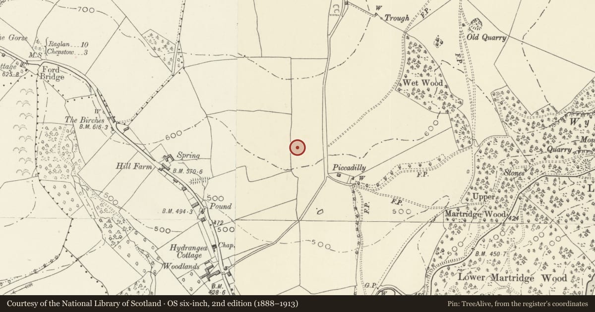 Ordnance Survey six-inch map, 2nd edition (1888–1913) covering the location of Garage Cottages at Wyndcliffe Court, St. Arvans, Monmouthshire, with a pin at the register's coordinates