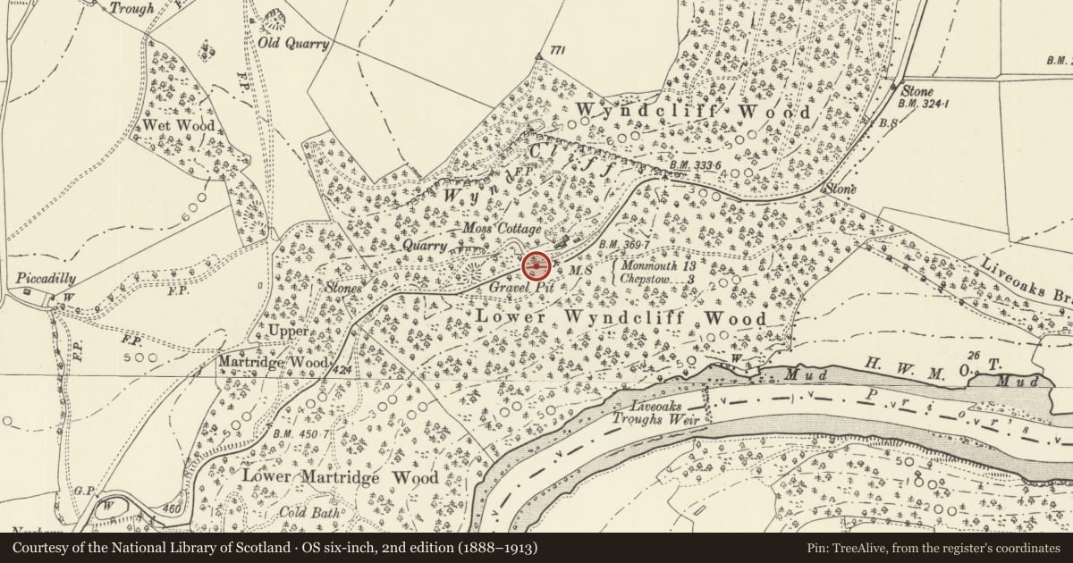 Ordnance Survey six-inch map, 2nd edition (1888–1913) covering the location of Milestone on the A466 at the foot of the Wyndcliff, St. Arvans, Monmouthshire, with a pin at the register's coordinates