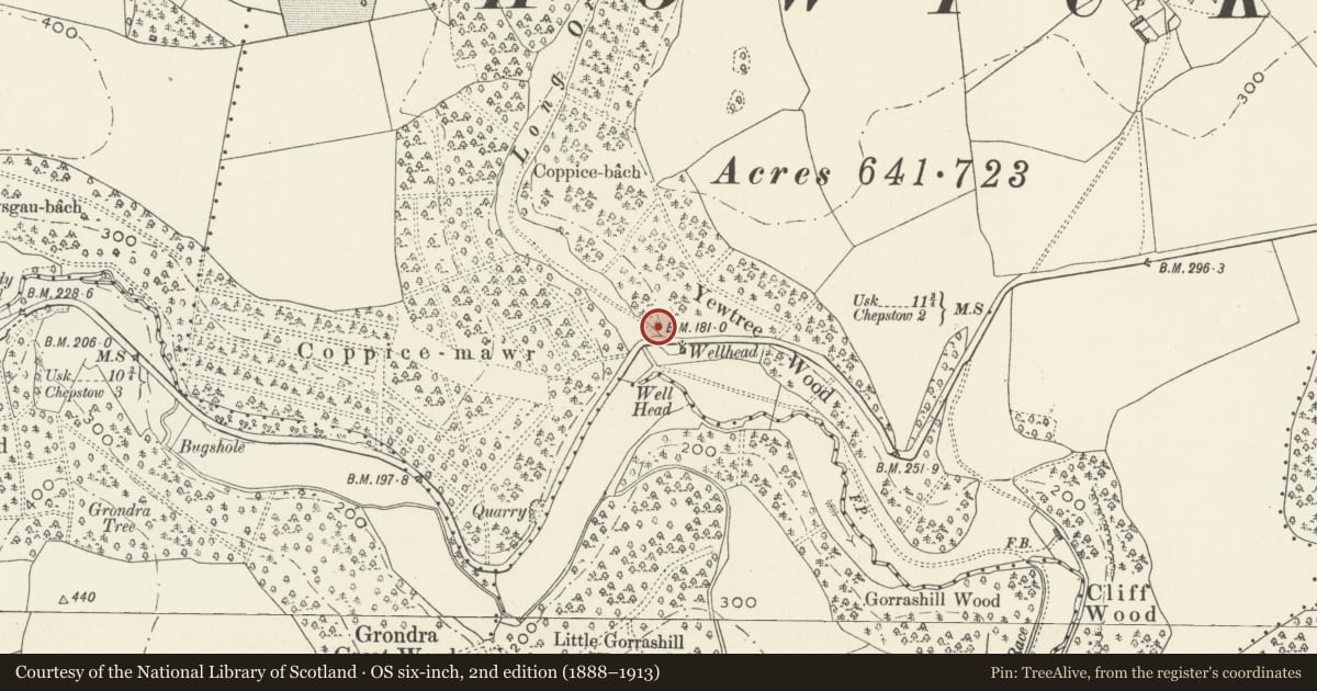 Ordnance Survey six-inch map, 2nd edition (1888–1913) covering the location of Gatepiers and Gates at Wellhead Lodge, Shirenewton, Monmouthshire, with a pin at the register's coordinates